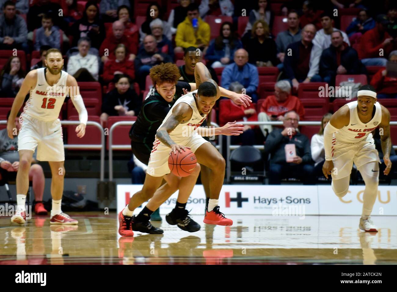 Muncie, Indiana, Stati Uniti. 1st Feb, 2020. I cardinali dello Stato della palla sorvegliano ISHMAEL EL-AMIN (5) ruba la palla dalla guardia di Ohio Bobcats JASON PRESTON (0) durante la prima metà alla Worthen Arena di Muncie. Credit: Richard Sitler/Zuma Wire/Alamy Live News Foto Stock