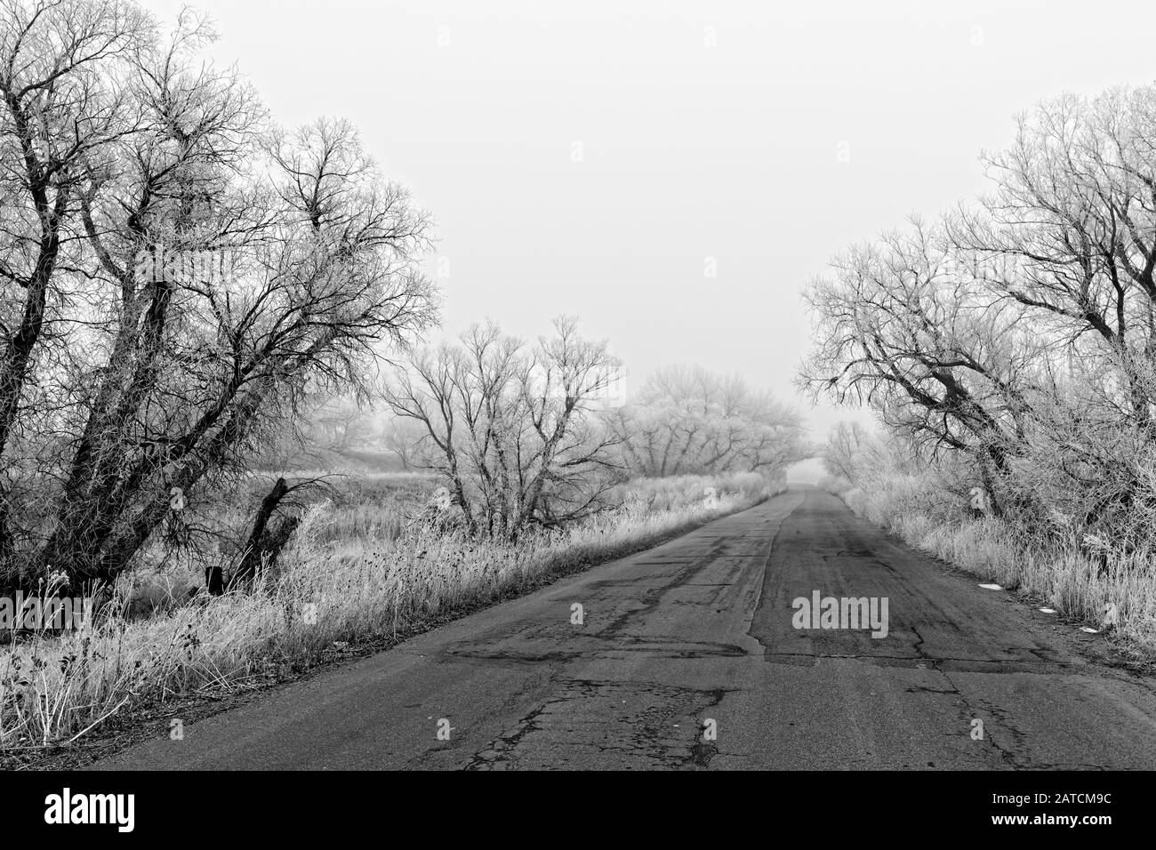 Una strada ghiacciata del Wyoming svanisce nella nebbia Foto Stock