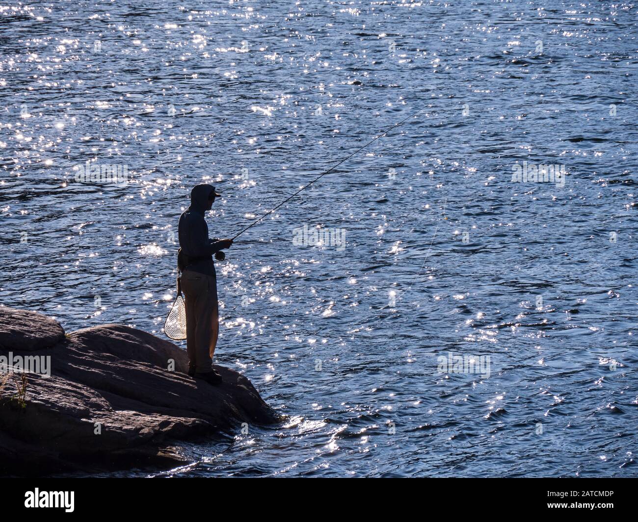 L'uomo pesca da una roccia accanto al Green River, Little Hole Trail, Ashley National Forest, Flaming Gorge National Recreation Area vicino all'olandese John, Utah Foto Stock