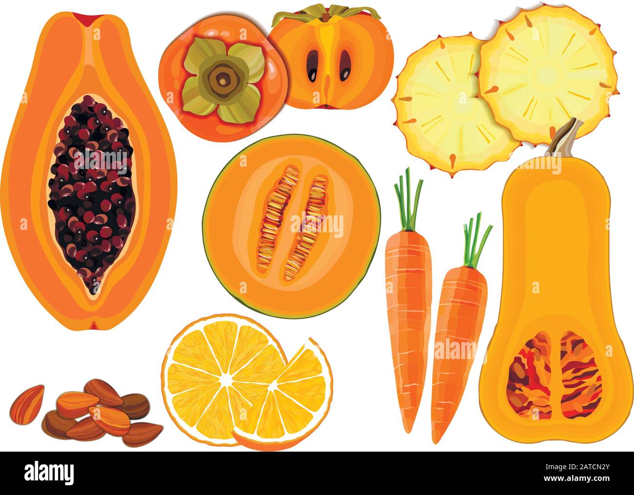 Collezione di verdure fresche di colore arancio e frutta cruda su sfondo bianco Illustrazione Vettoriale