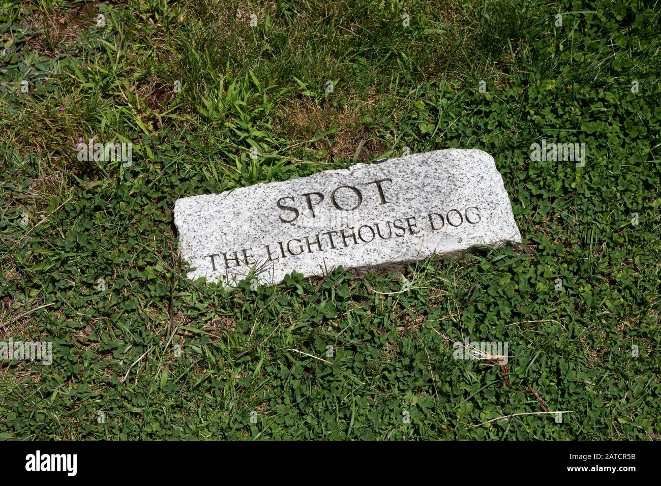 La tomba di Spot il cane del faro a Owl's Head, Maine Foto Stock