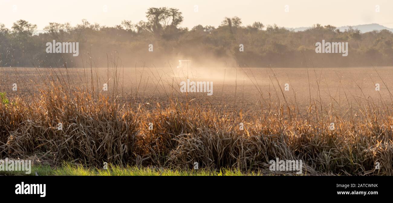 Le macchine e aratro nella preparazione della terra per la semina del riso irrigato in colture nel sud del Brasile. Agricoltura in pre-semina pha Foto Stock