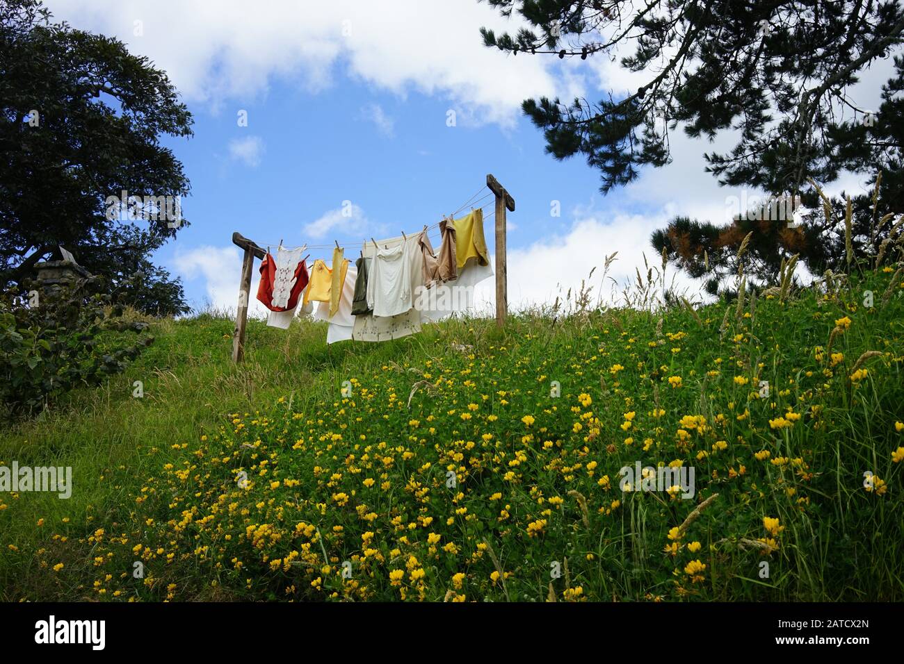 Bellissimo scatto di vestiti appena lavati che si asciugano in giardino sotto un cielo blu Foto Stock