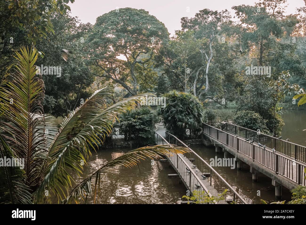 Area verde del tempio di Wat Umong a Chiang mai, Thailandia Foto Stock