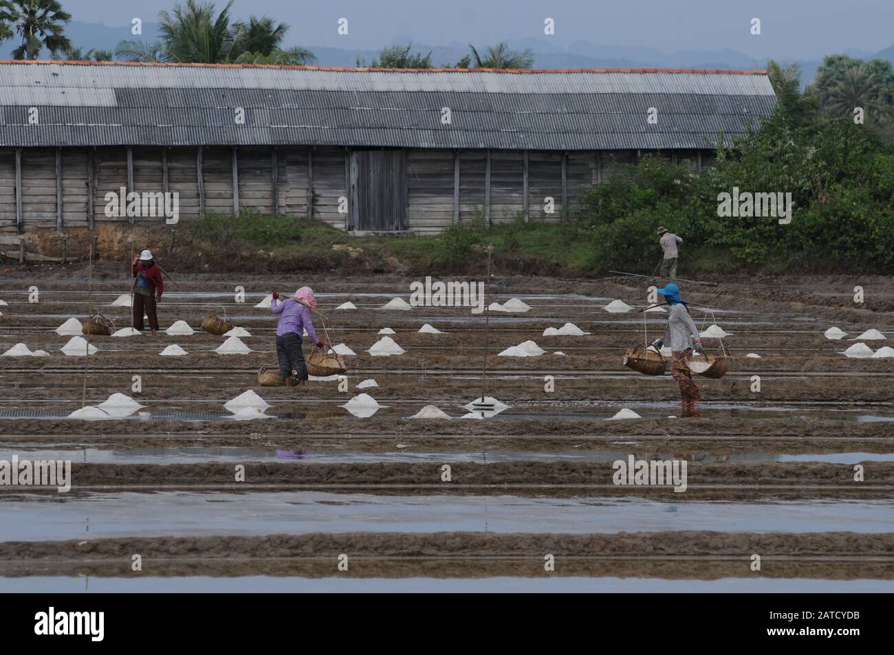 Gli operai di campo di sale lavorano i campi di sale, la provincia di Kambot, la Cambogia, Indochina. © Kraig Lieb Foto Stock