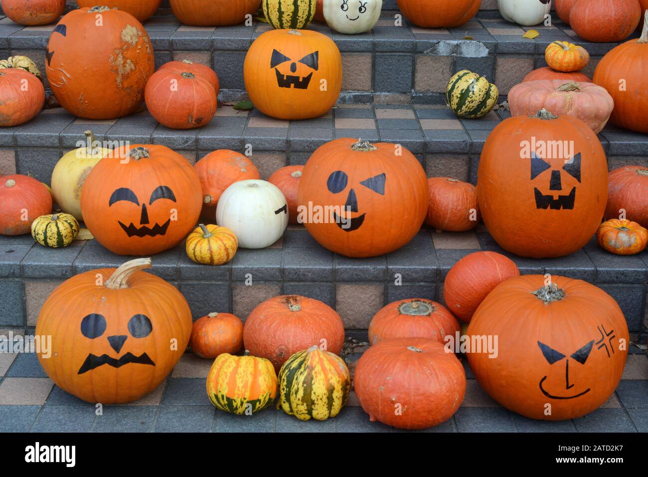 Zucche Halloween jack-o'-lantern con una gamma di volti divertenti e spooky Foto Stock