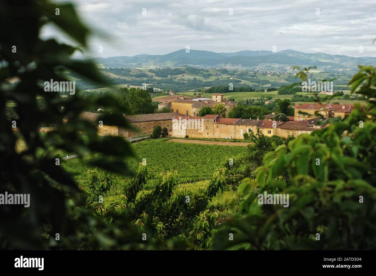 Le mura dello Chateau de Bagnols si affacciano su un prato verde, un vigneto e un frutteto sulle colline circostanti Foto Stock