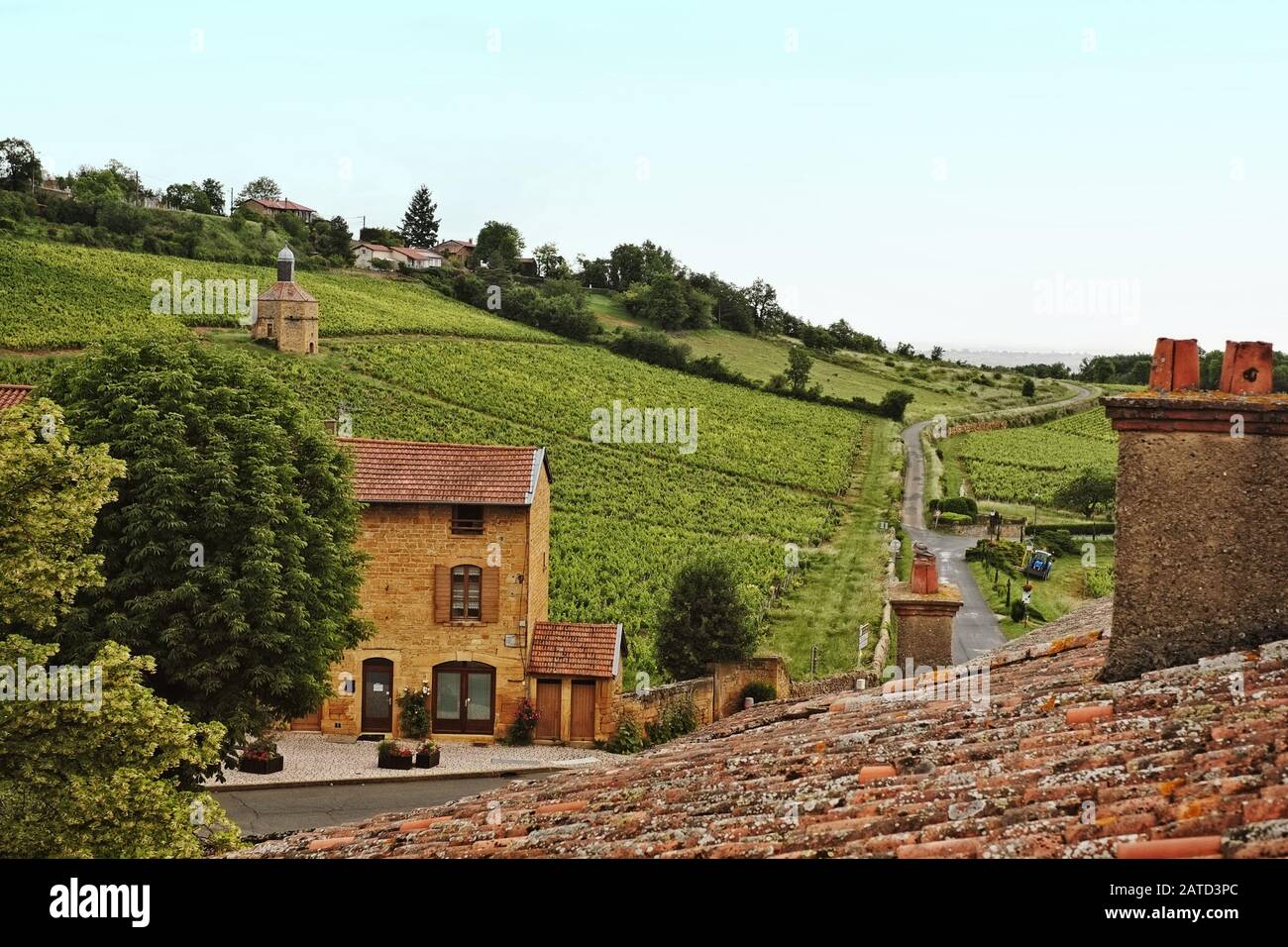 Una vista dal tetto di Château de Bagnols passato il villaggio ai vigneti di Gamay Viti per fare Beaujolais vino pierre dorées regione Francia; Foto Stock