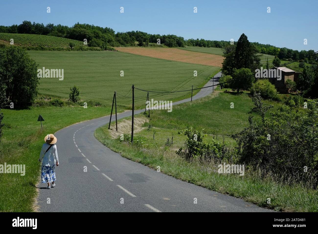 Una donna cammina su una strada di campagna curvando e scendendo attraverso un mosaico di campi verdi di grano e vigneti nella pierre dorées Beaujolais Francia Foto Stock