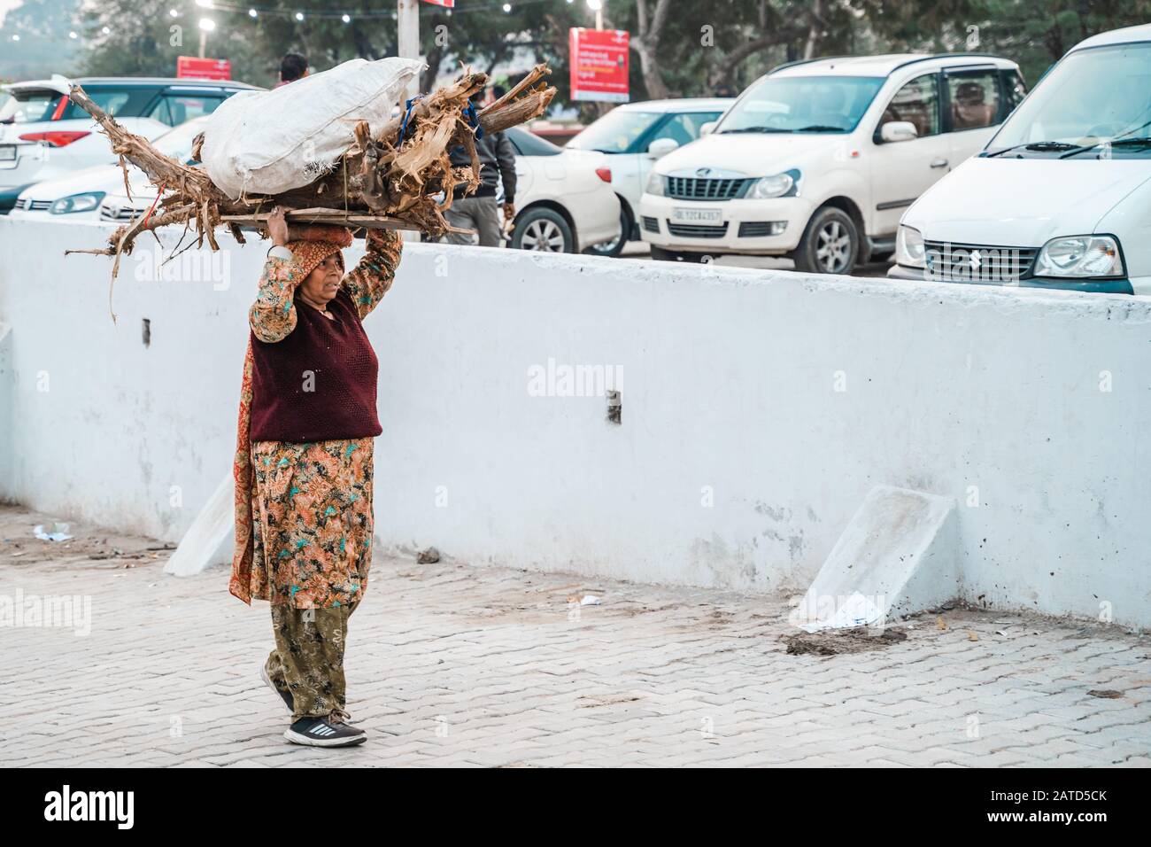 Faridabad, India - Febuary 1, 2020: Donna indiana porta molti tronchi sopra la sua testa mentre lavora al Surajkund Mela Crafts Foto Stock