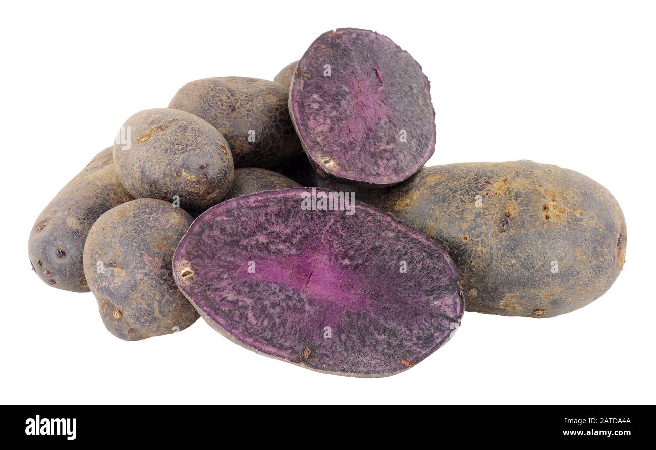 Gruppo di patate majesty viola crude isolato su uno sfondo bianco Foto Stock