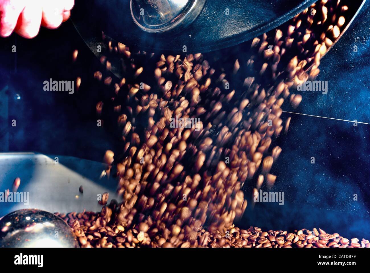 I chicchi di caffè appena tostati vengono versati dalla torrefazione Foto Stock