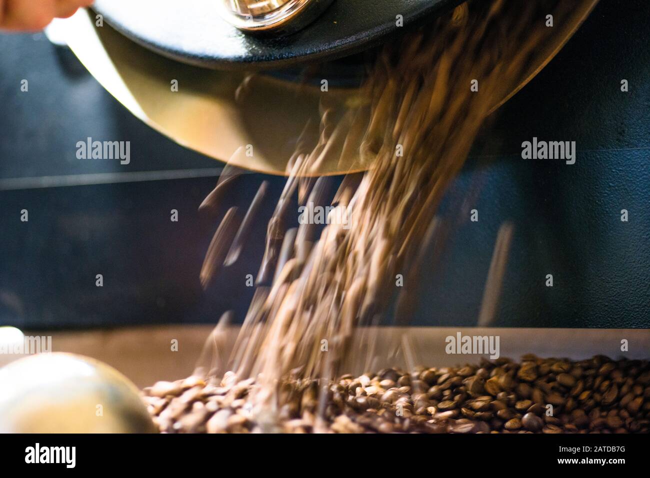 I chicchi di caffè appena tostati vengono versati dalla torrefazione Foto Stock