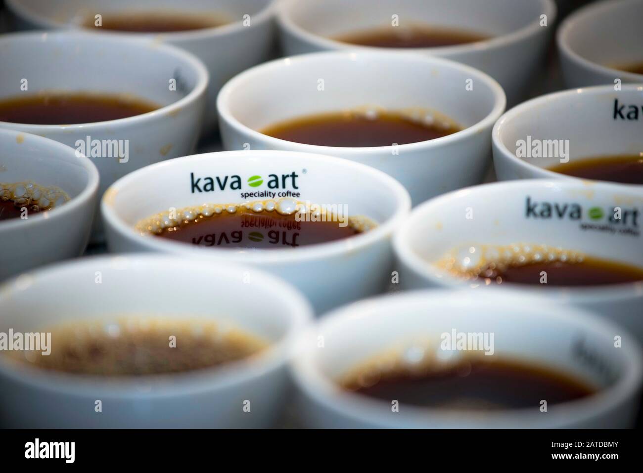 Una serie di tazze con caffè, preparate per la degustazione (stima della qualità) Foto Stock
