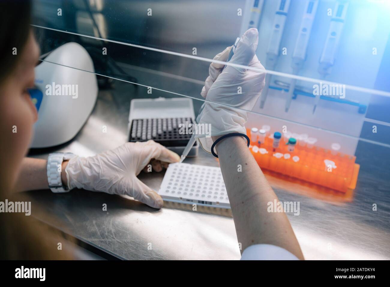 Lo scienziato mette campioni di frammenti di DNA per elettroforesi utilizzando una pipetta Foto Stock