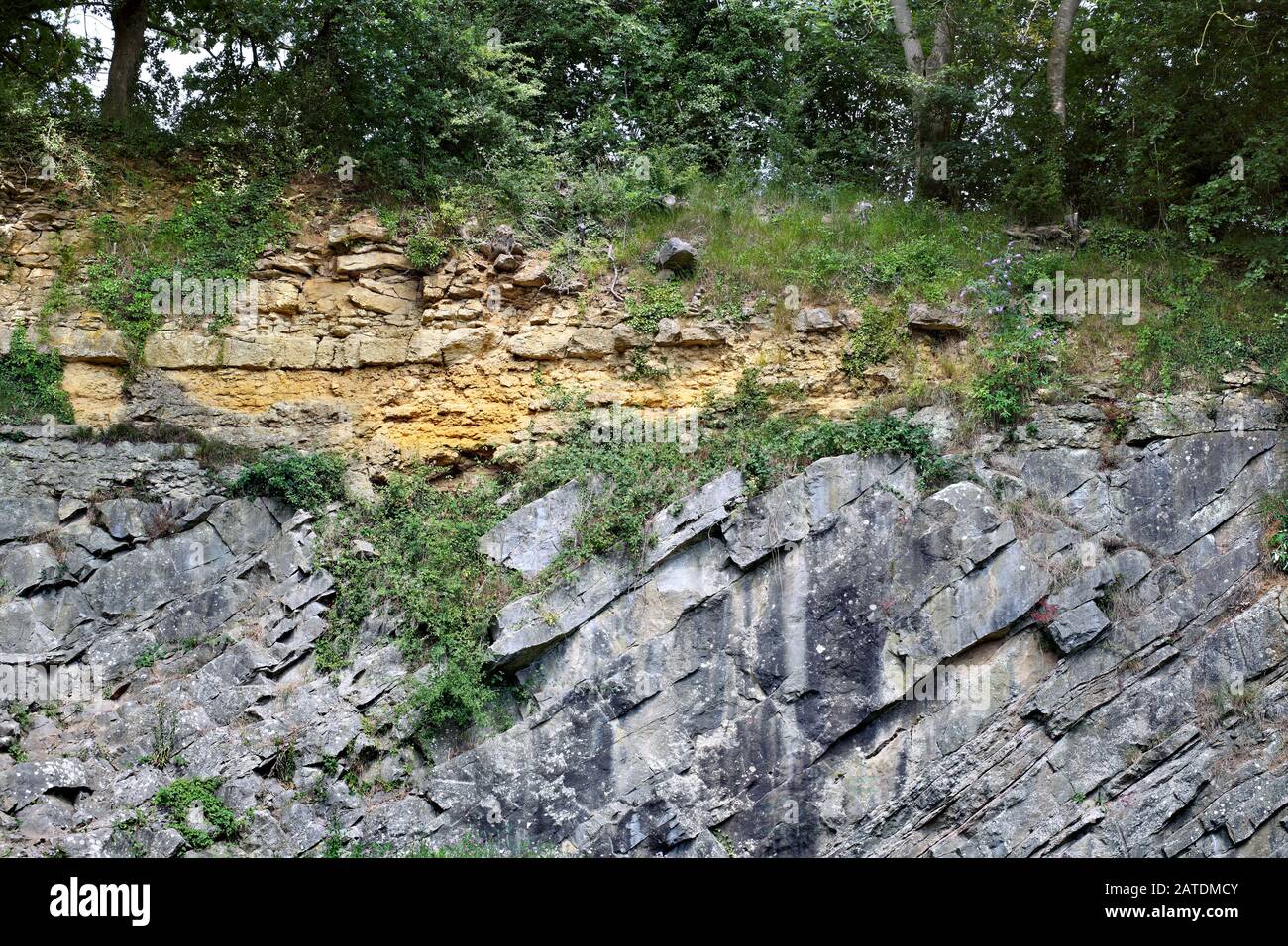 Il De la Beche non conformità a Vallis vale, Somerset. Foto Stock