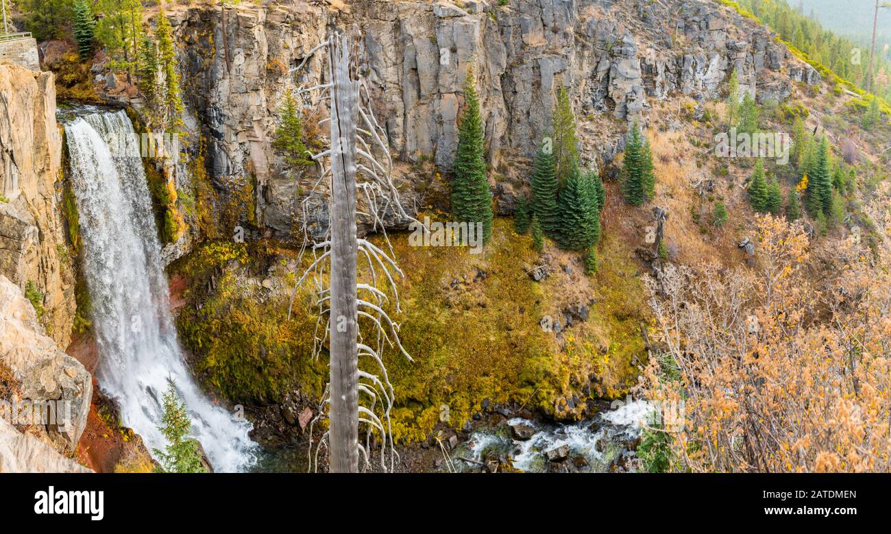 Vista panoramica delle cascate Tumalo di 97 piedi nel Tumalo Creek vicino Bend Foto Stock