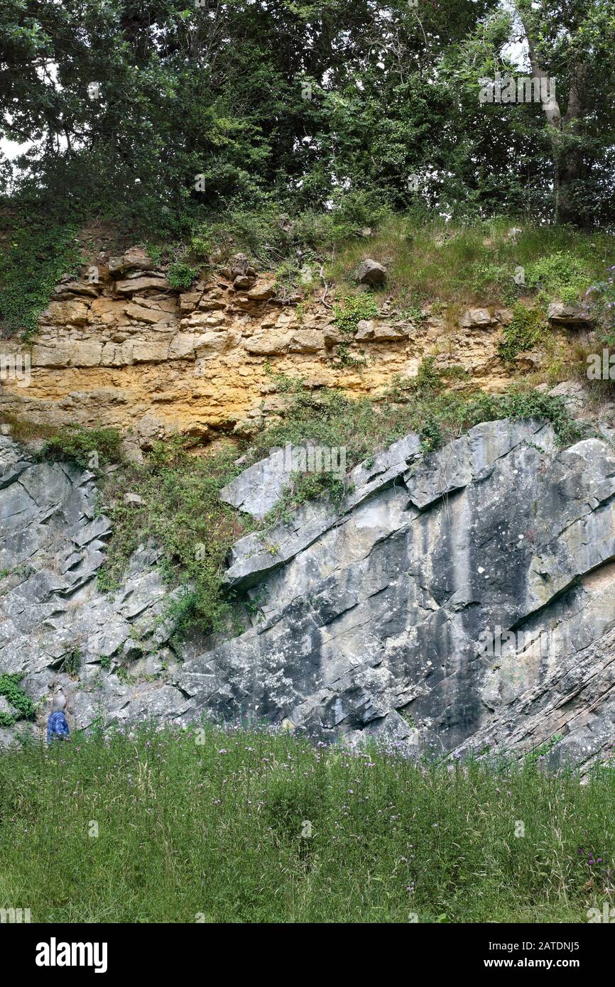 Il De la Beche non conformità a Vallis vale, Somerset. Foto Stock