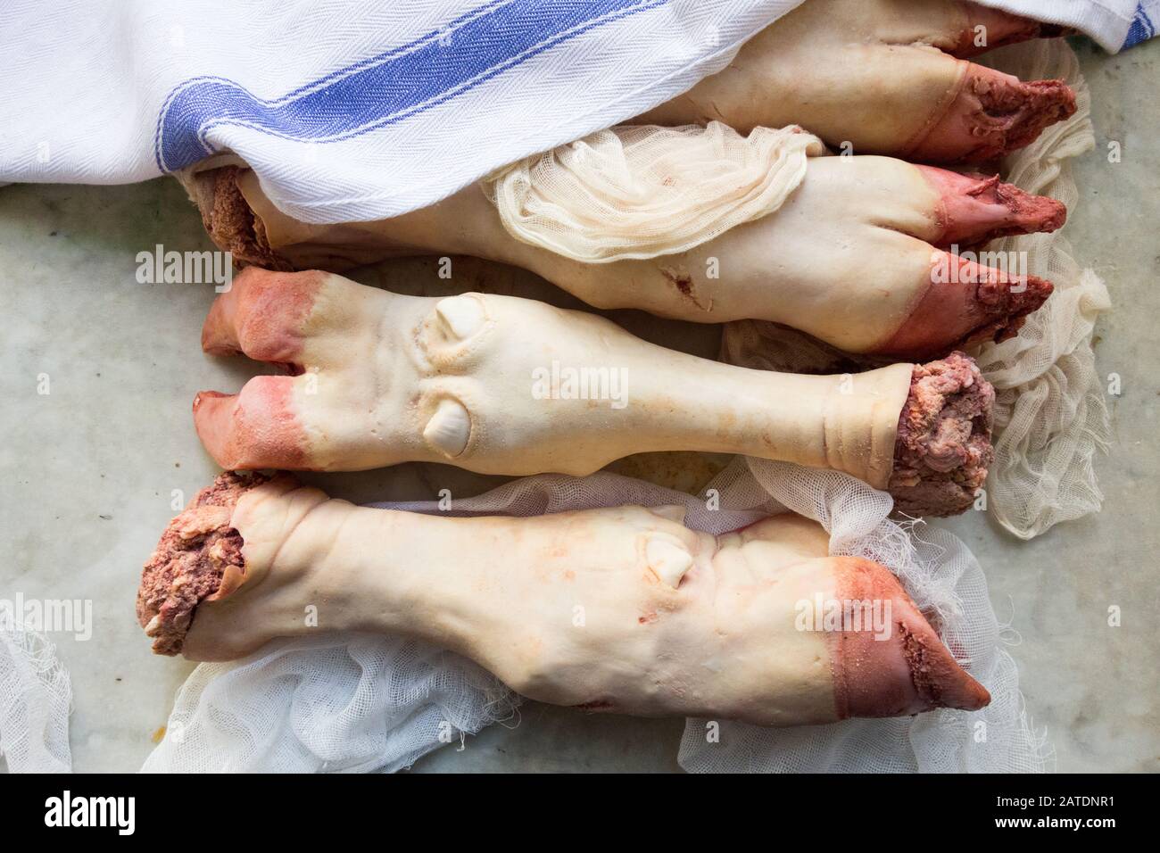 Primo piano dei piedi della mucca su una cucina in marmo Foto Stock