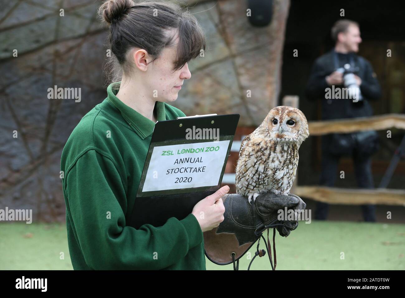 Annuale Stocktake Allo Zsl London Zoo 2020 Con: Barn Owl Dove: Londra, Regno Unito Quando: 02 Jan 2020 Credit: Mario Mitsis/Wenn.com Foto Stock