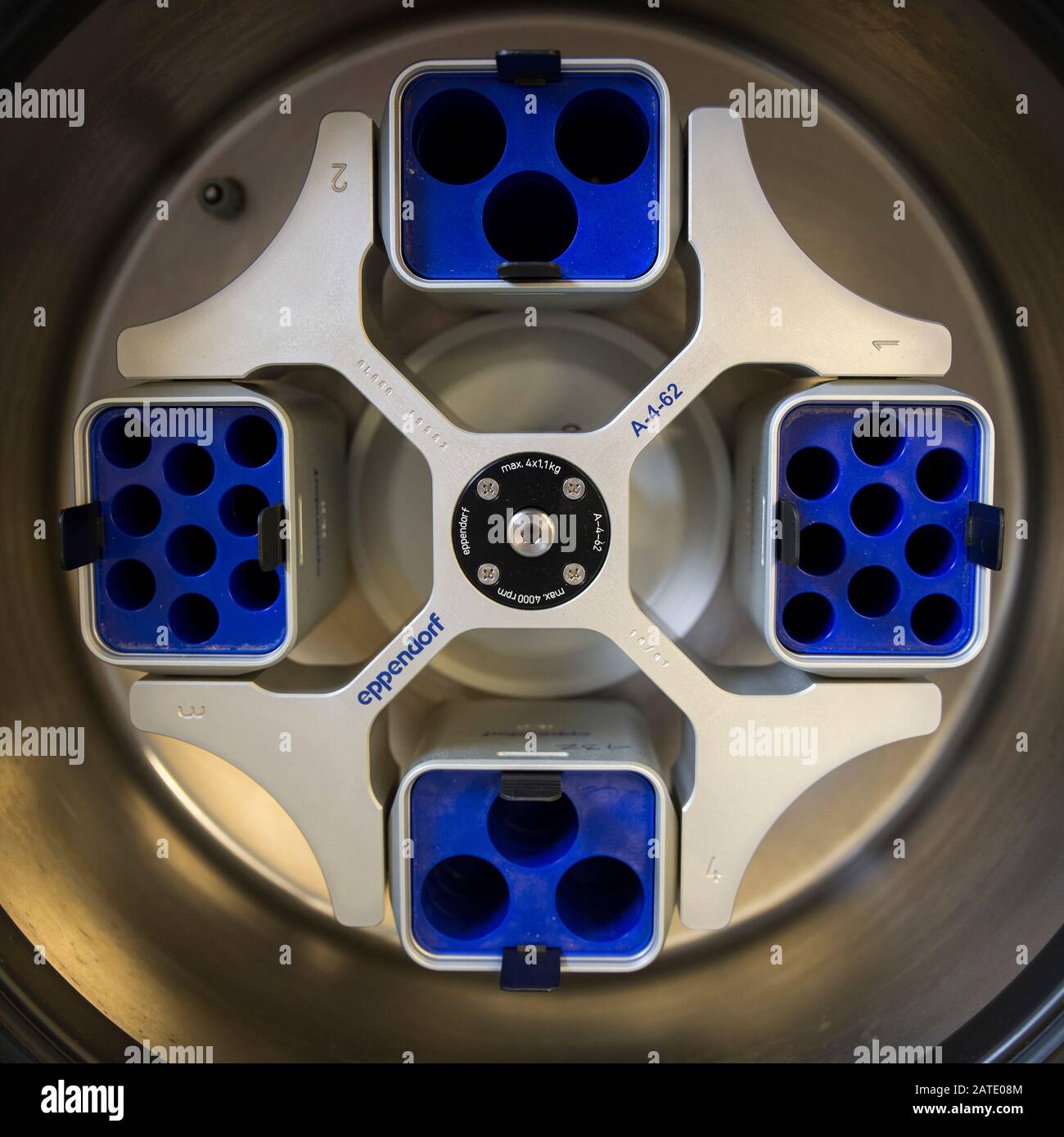 Rotore per centrifuga a bassa velocità utilizzato per centrifugare cellule in colture di tessuti Foto Stock