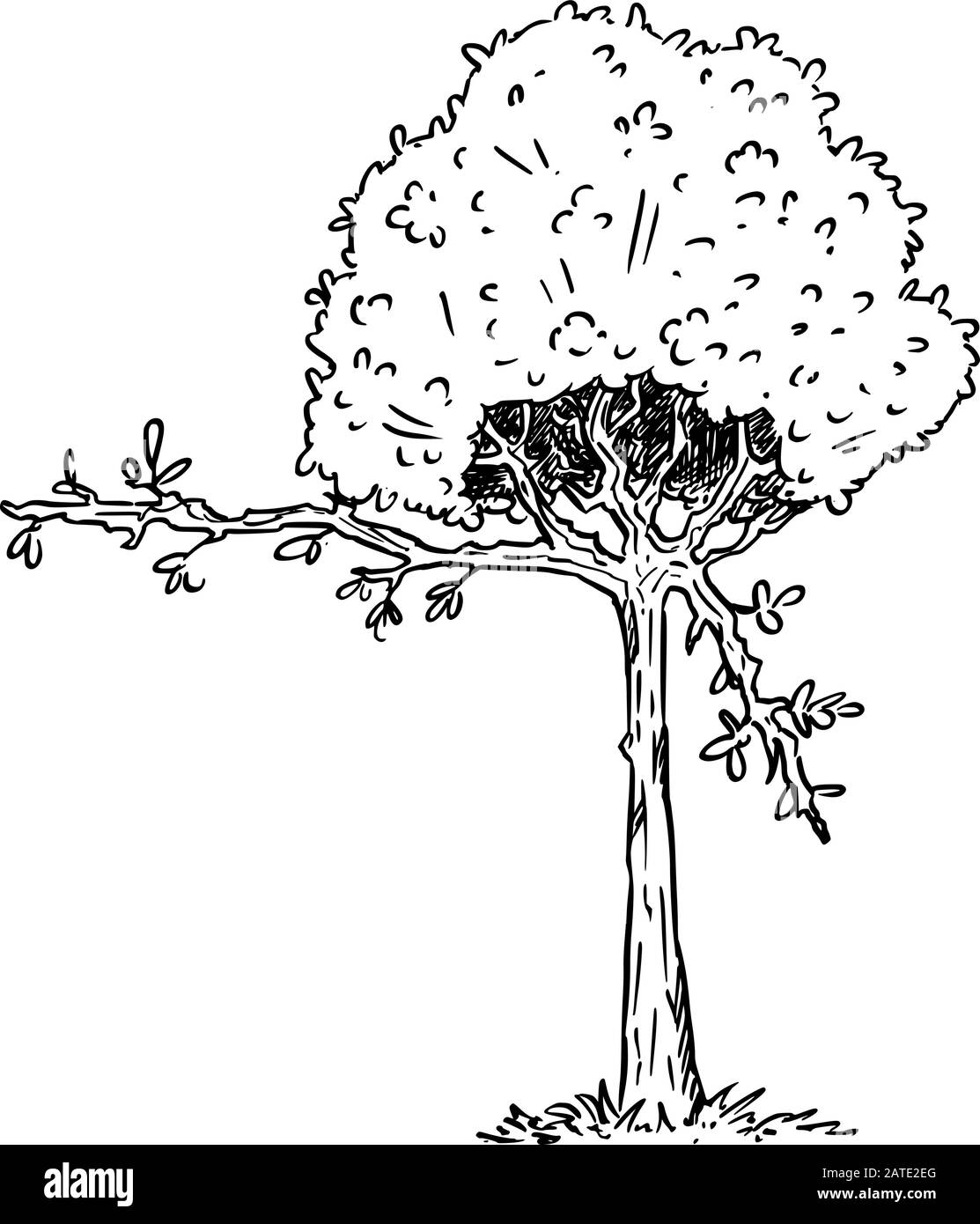 Illustrazione vettoriale del carattere della pianta dell'albero di fioritura del cartone animato che mostra o punta a qualcosa dal ramo con le foglie. Ecologia o natura pubblicità o disegno di vendita. Illustrazione Vettoriale