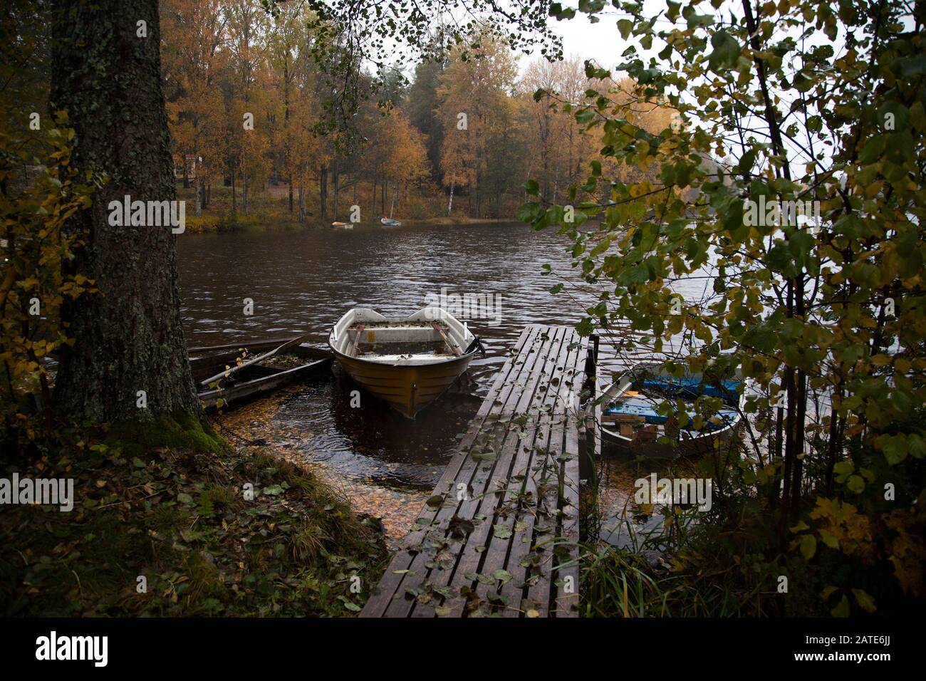 BARCHE a remi lasciate al molo a fine autunno pioggia a Hälleforsnäs Foto Stock