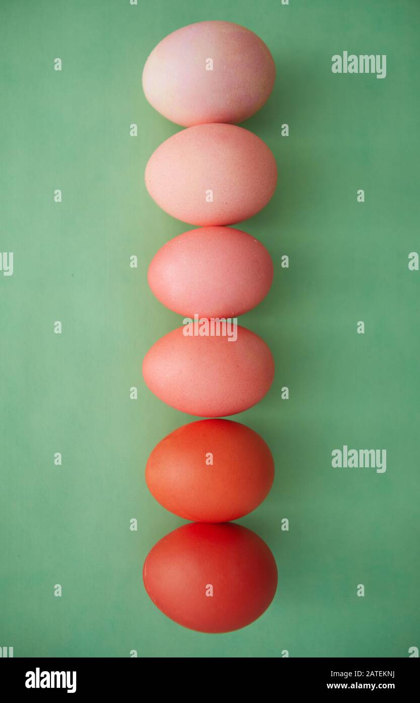Sopra la vista sfondo delle uova di Pasqua dipinte in fila gradiente dal rosso al rosa pastello, copia spazio Foto Stock
