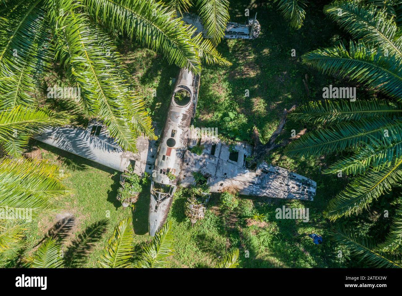 Arial Vista del relitto aereo in olio di palma piantagione, Kimbe, Nuova gran bretagna, Papua Nuova Guinea, PNG Foto Stock