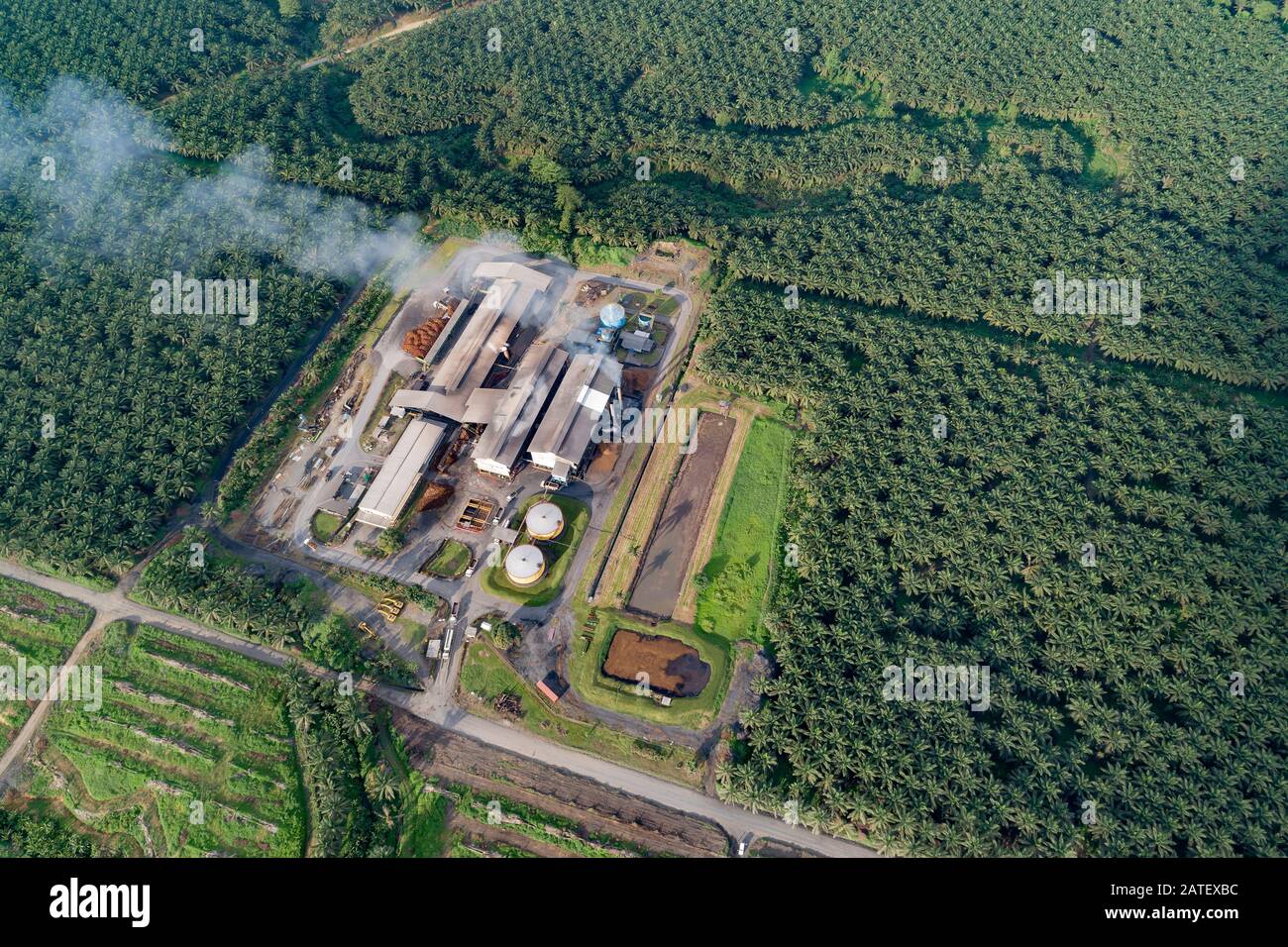 Arial Vista da una raffineria di palma da olio, Kimbe, Nuova gran bretagna, Papua Nuova Guinea, PNG Foto Stock