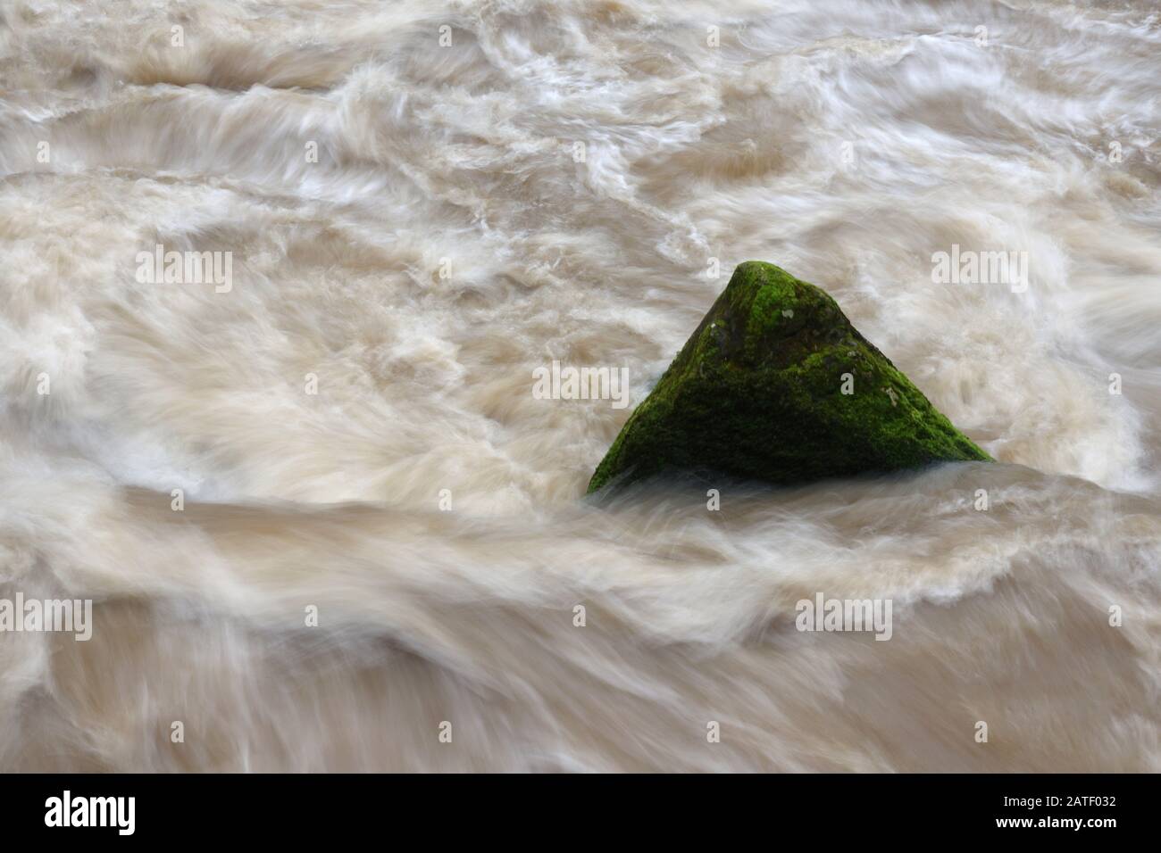 02 febbraio 2020, Renania-Palatinato, Irrel: Una roccia si estende dalla Prüm vicino a Irrel e pone il fiume in onde tuose. Forti piogge hanno causato l'ascesa del fiume. Foto: Harald Tittel/Dpa Foto Stock