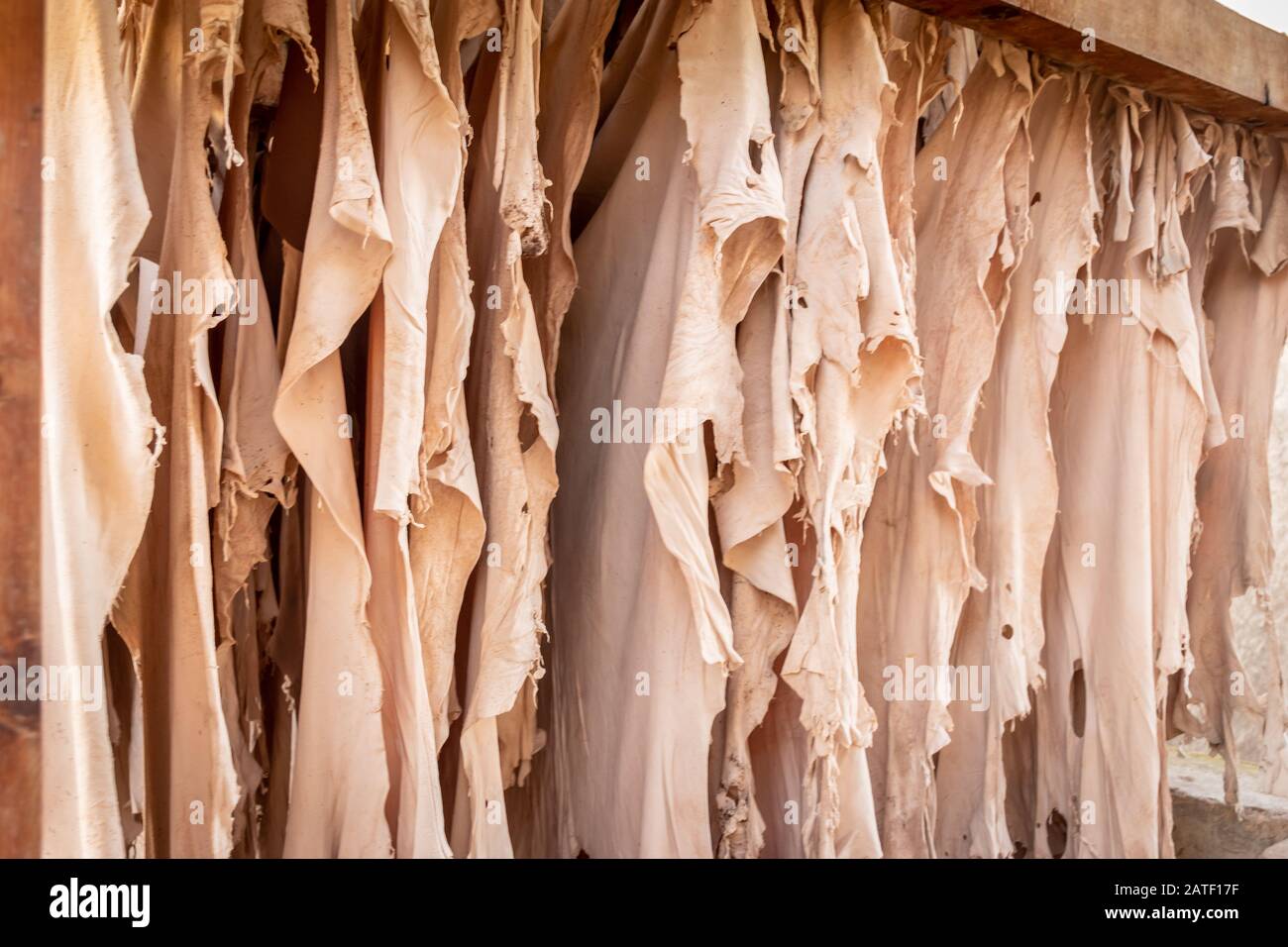 Asciugatura Di Pelle In Tannery Chouara, Fez, Marocco Foto Stock
