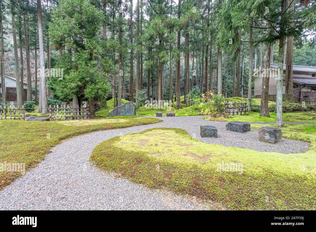 Hiyo Moss Garden nella Foresta della saggezza, Komatsu, Ishikawa, Giappone. Foto Stock