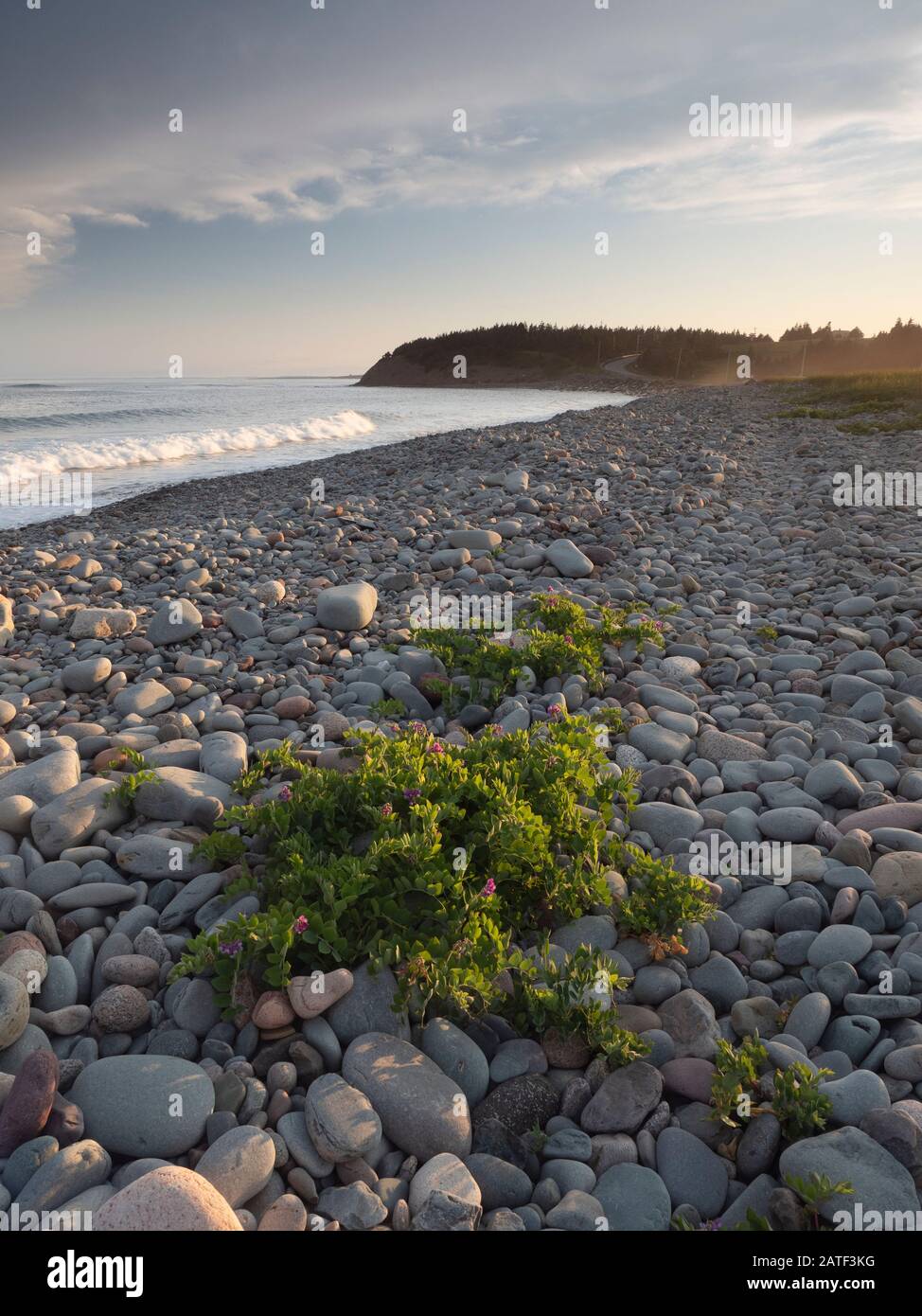Lawrencetown Beach, Halifax, Nuova Scozia. Foto Stock