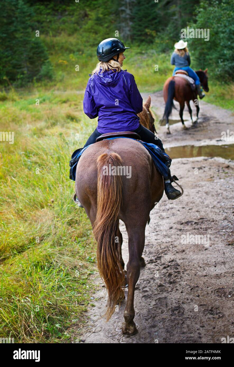 Equitazione in Montana, USA Foto Stock