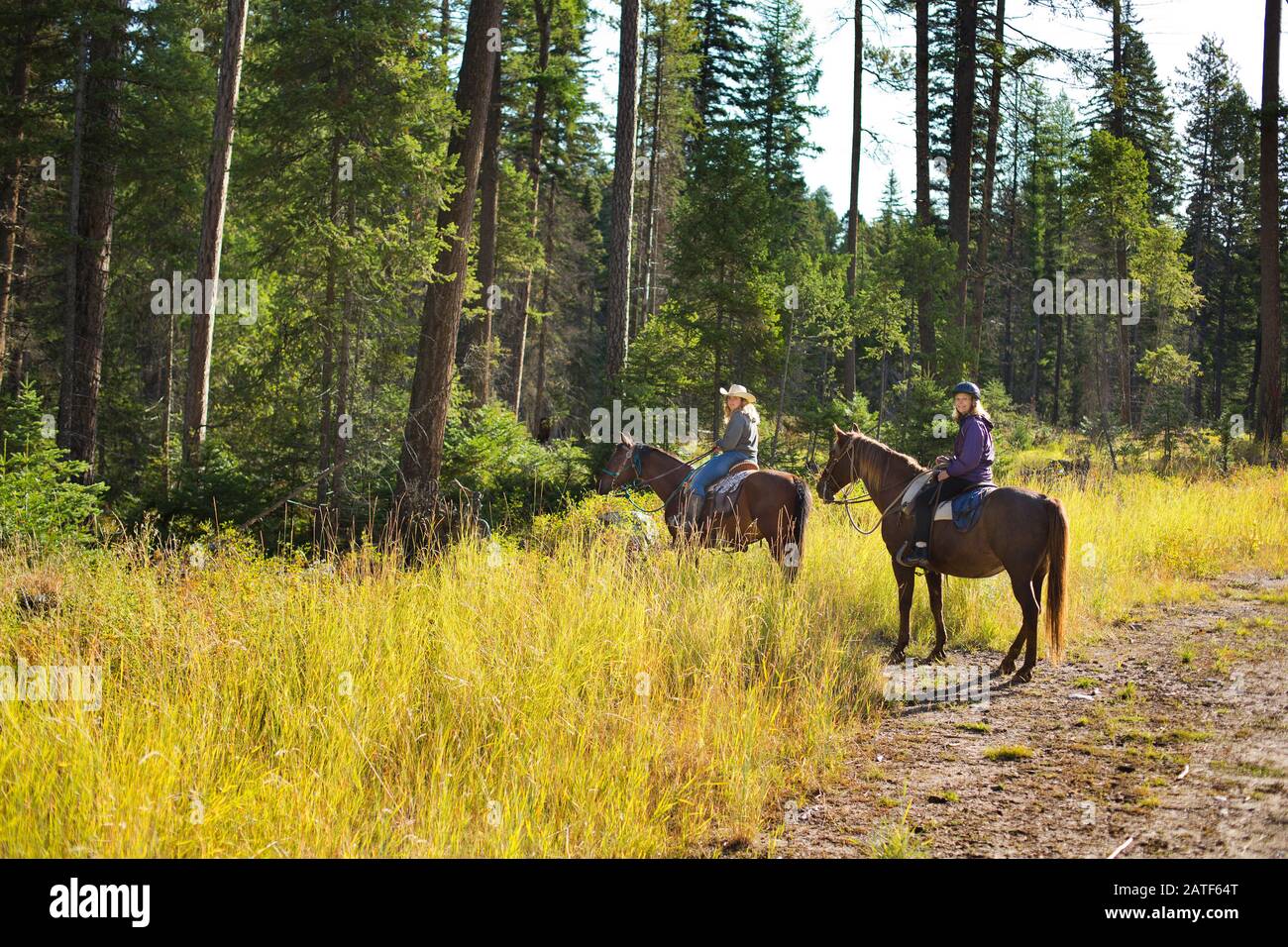 Equitazione in Montana, USA Foto Stock