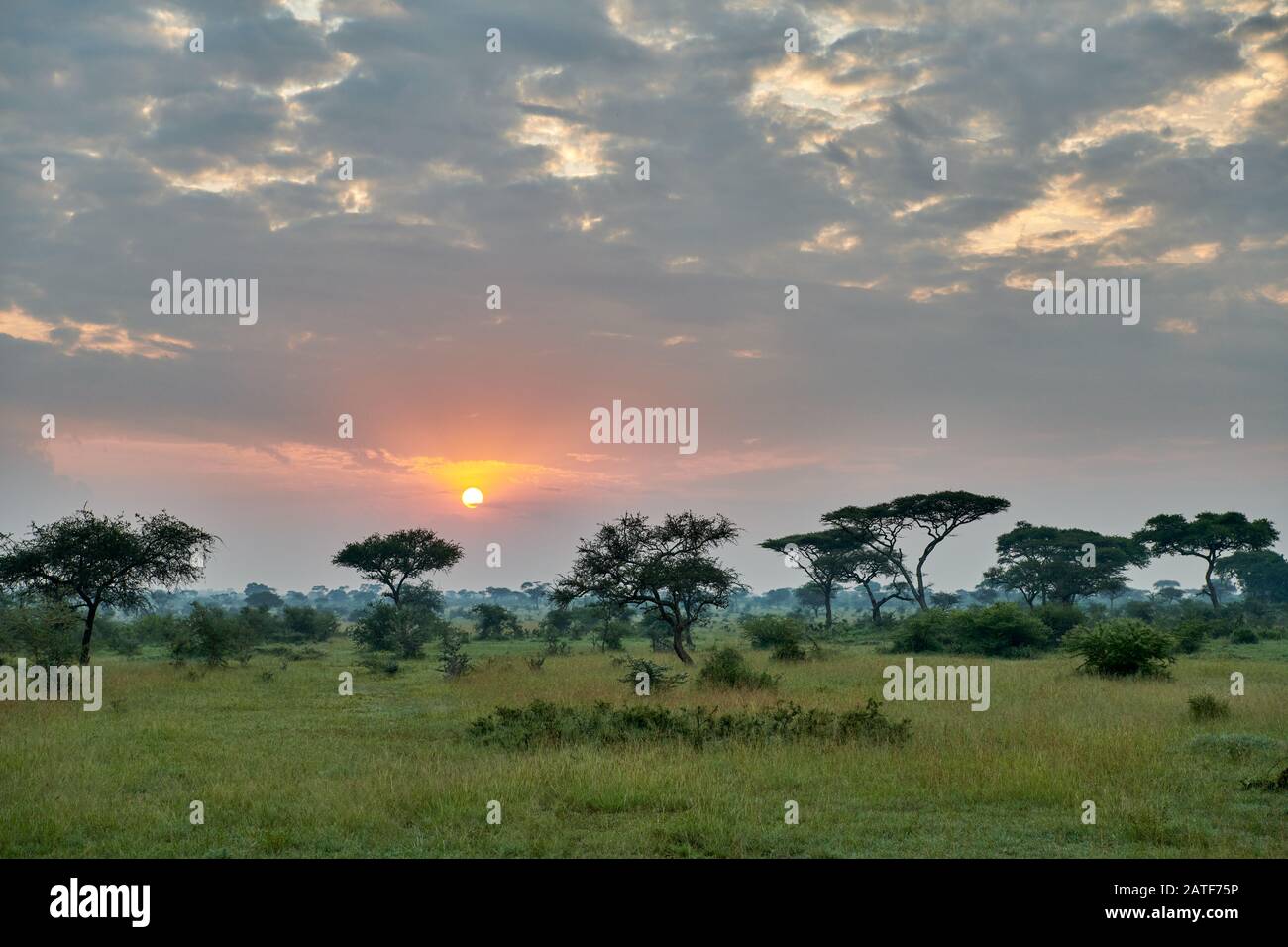 Paesaggio con alba nel Parco Nazionale del Serengeti, sito patrimonio mondiale dell'UNESCO, Tanzania, Africa Foto Stock