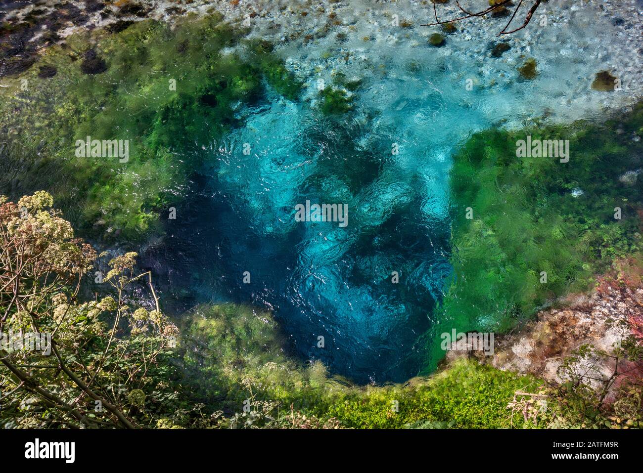 Blue Eye (Syri i Kalter, Azure occhio), acqua primavera, la sorgente del fiume Bistrice (Bistrica), vicino Muzine, Albania Foto Stock