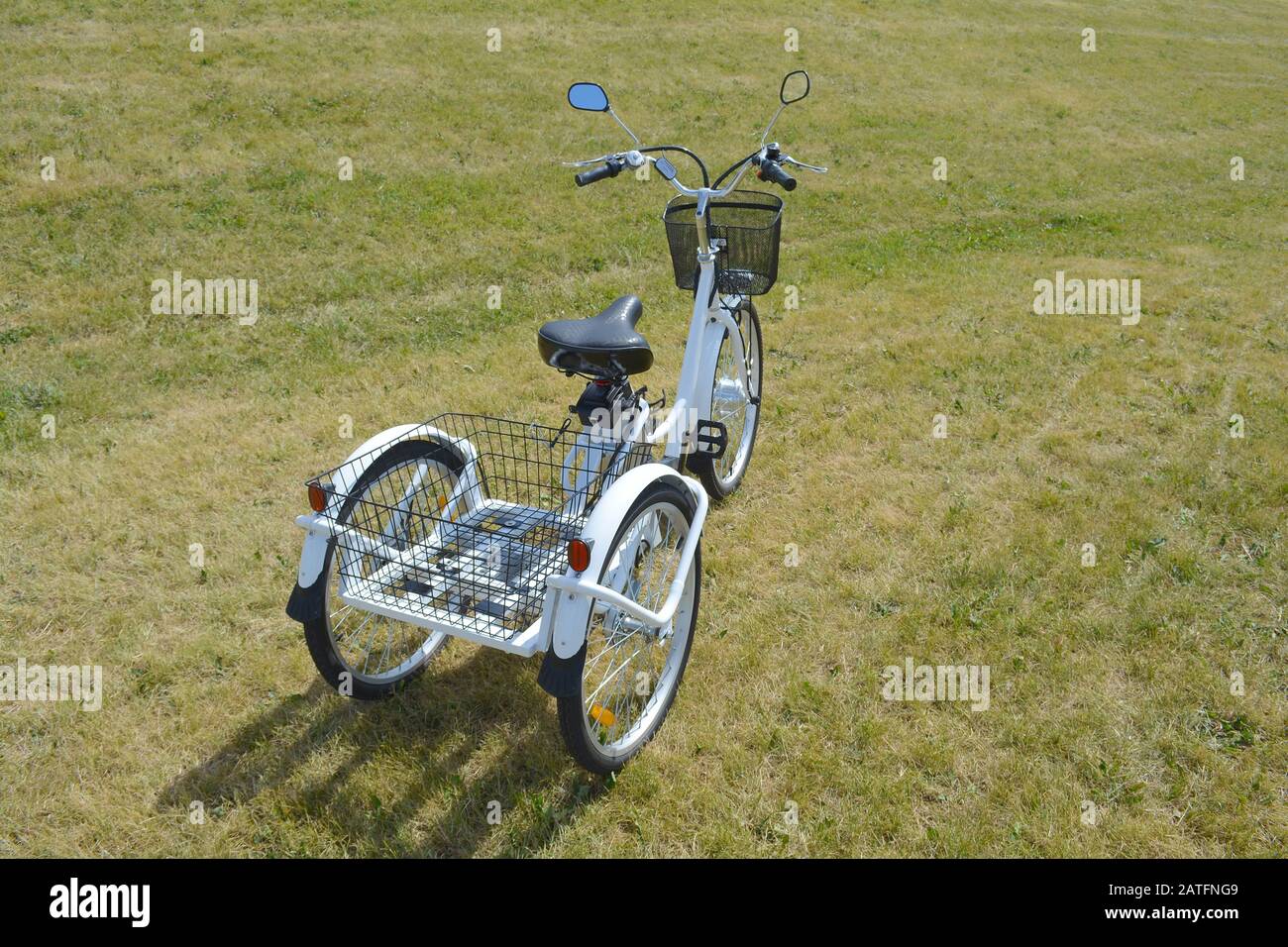 Il trike elettrico o in bicicletta nel parco nella soleggiata giornata estiva. Inquadratura dal lato. Non filtrato con illuminazione naturale. La vista della e motore e la potenza ba Foto Stock