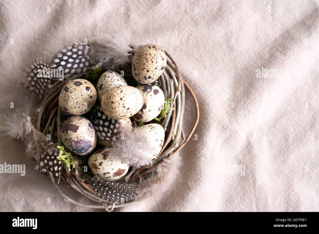 Uova di pasqua di Quail e piuma nel nido d'uccello su sfondo tessile di lino naturale con spazio di copia. Primavera, Pasqua e sano concetto di cibo biologico. Foto Stock