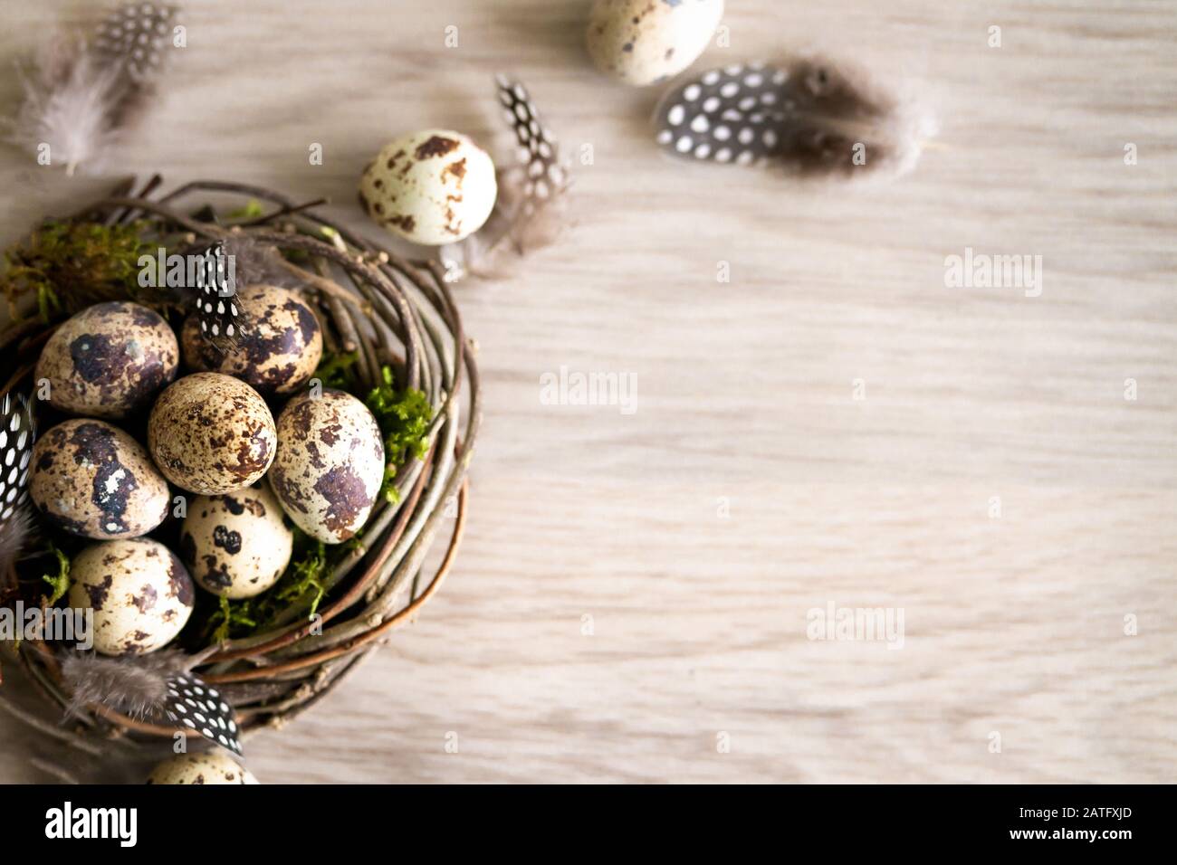 Quail Uova di pasqua e piuma in nido d'uccello su sfondo rustico in legno con spazio copia. Primavera, Pasqua e sano concetto di cibo biologico. Foto Stock