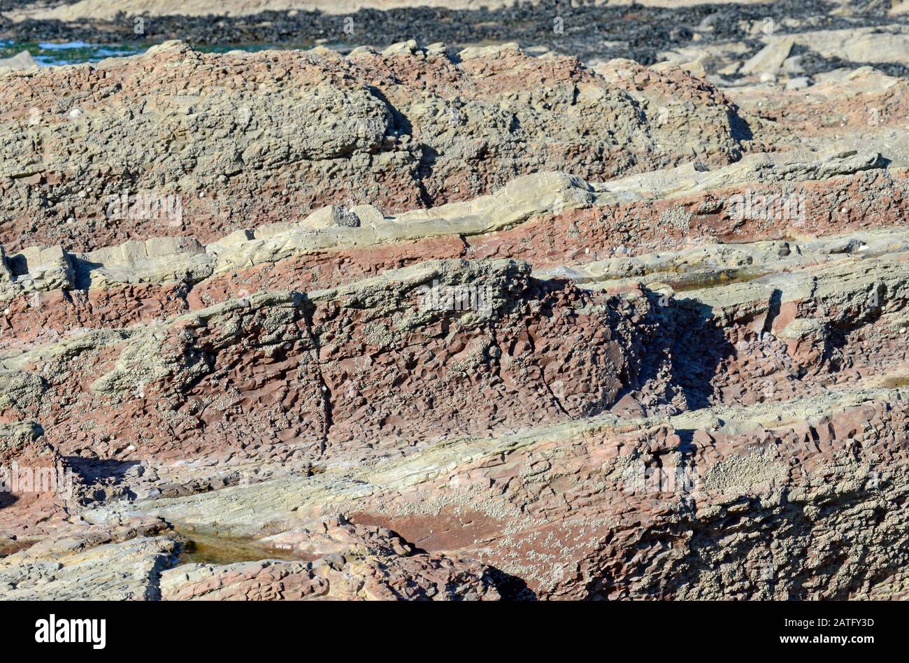 Rocce sedimentarie di Mercia, fangstone, nella baia di Helwell, nell'estuario del Severn a Watchet, Somerset, Regno Unito, Foto Stock