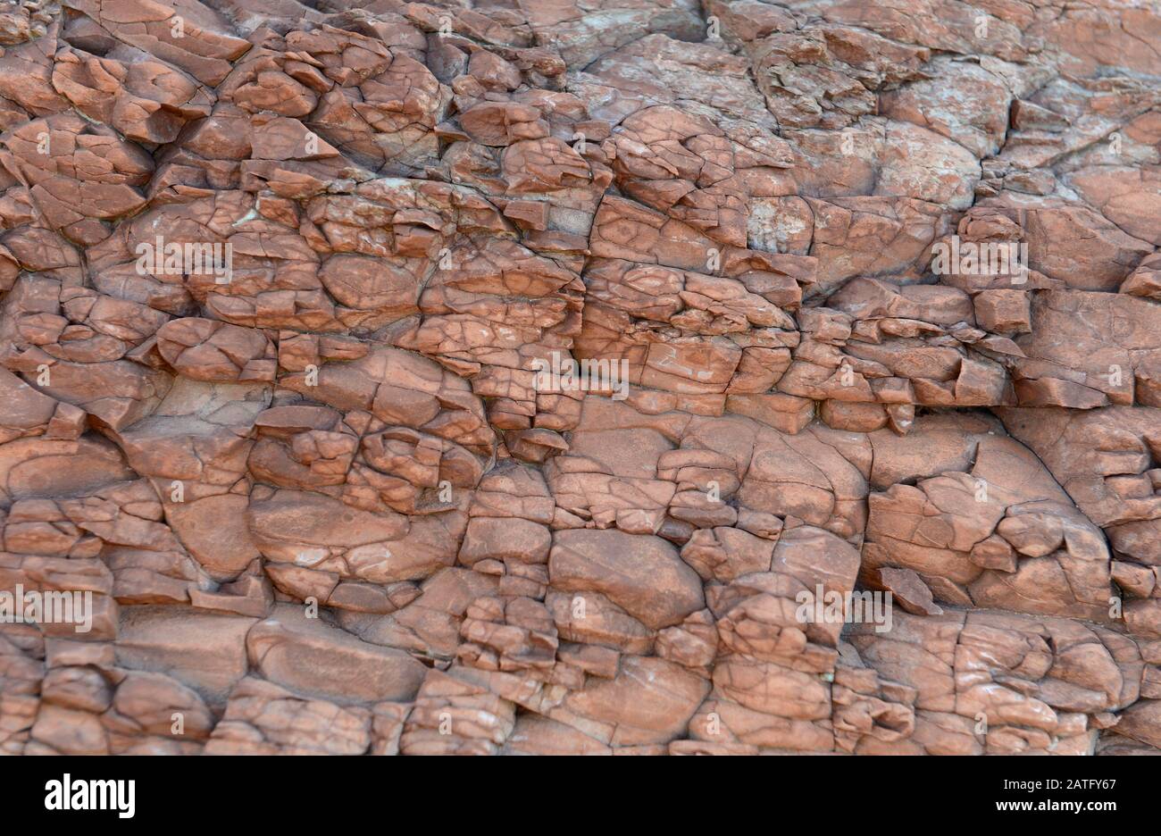 Rocce sedimentarie di Mercia, fangstone, nella baia di Helwell, nell'estuario del Severn a Watchet, Somerset, Regno Unito, Foto Stock