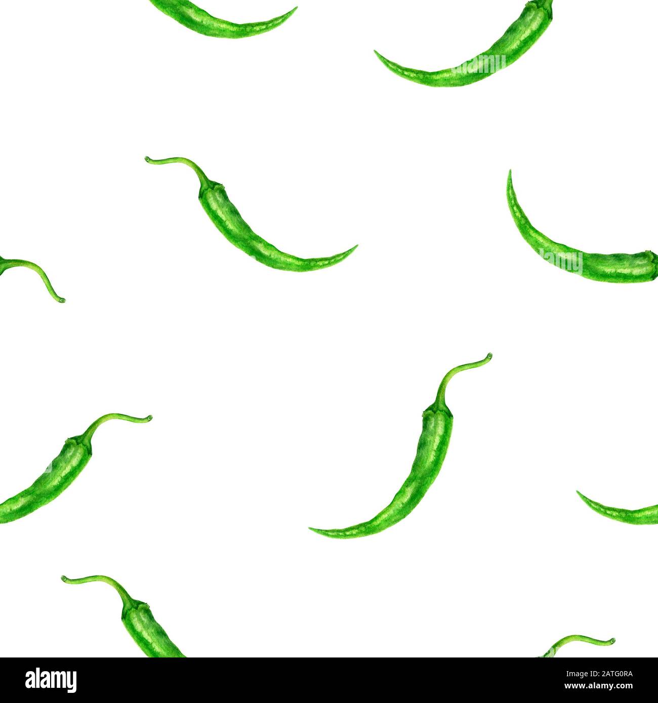 Peperone verde acqua disegno senza cuciture. Foto Stock