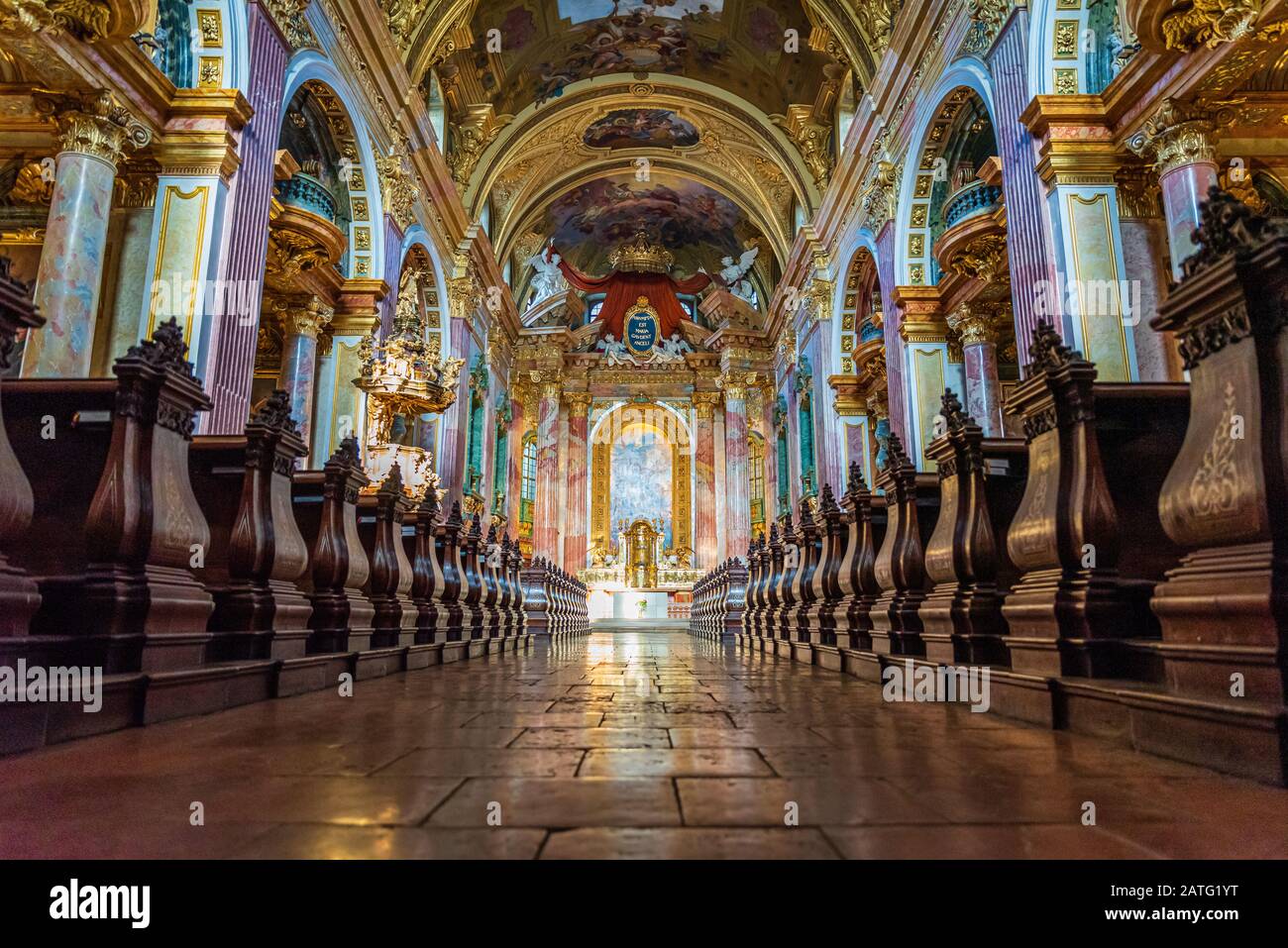 La Chiesa dei Gesuiti, conosciuta anche come Chiesa universitaria (Jesuitenkirche), a Vienna, in Austria Foto Stock