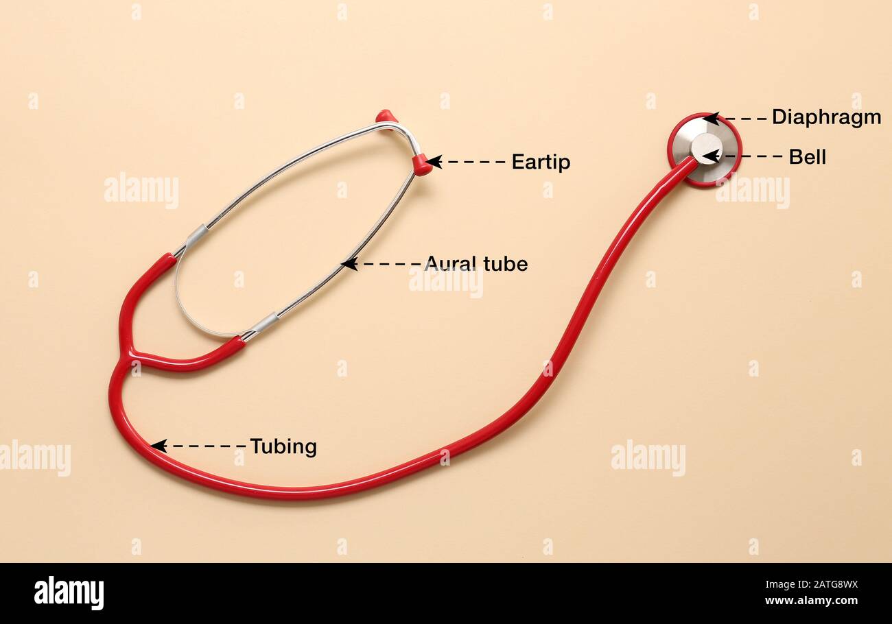 Stetoscopio moderno con nomi di particolari parti su sfondo a colori Foto  stock - Alamy