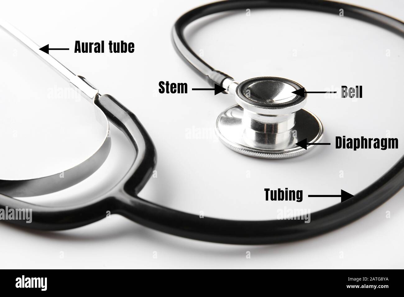 Stetoscopio moderno con nomi di particolari parti e cardiogrammi su sfondo  bianco Foto stock - Alamy