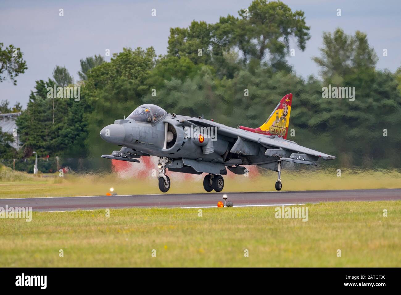 Spagnolo Navy EAV-8B Harrier II Plus esposizione di aerei da combattimento presso il Royal International Air Tattoo, RAF Fairford, UK, il 21st luglio 2019. Foto Stock