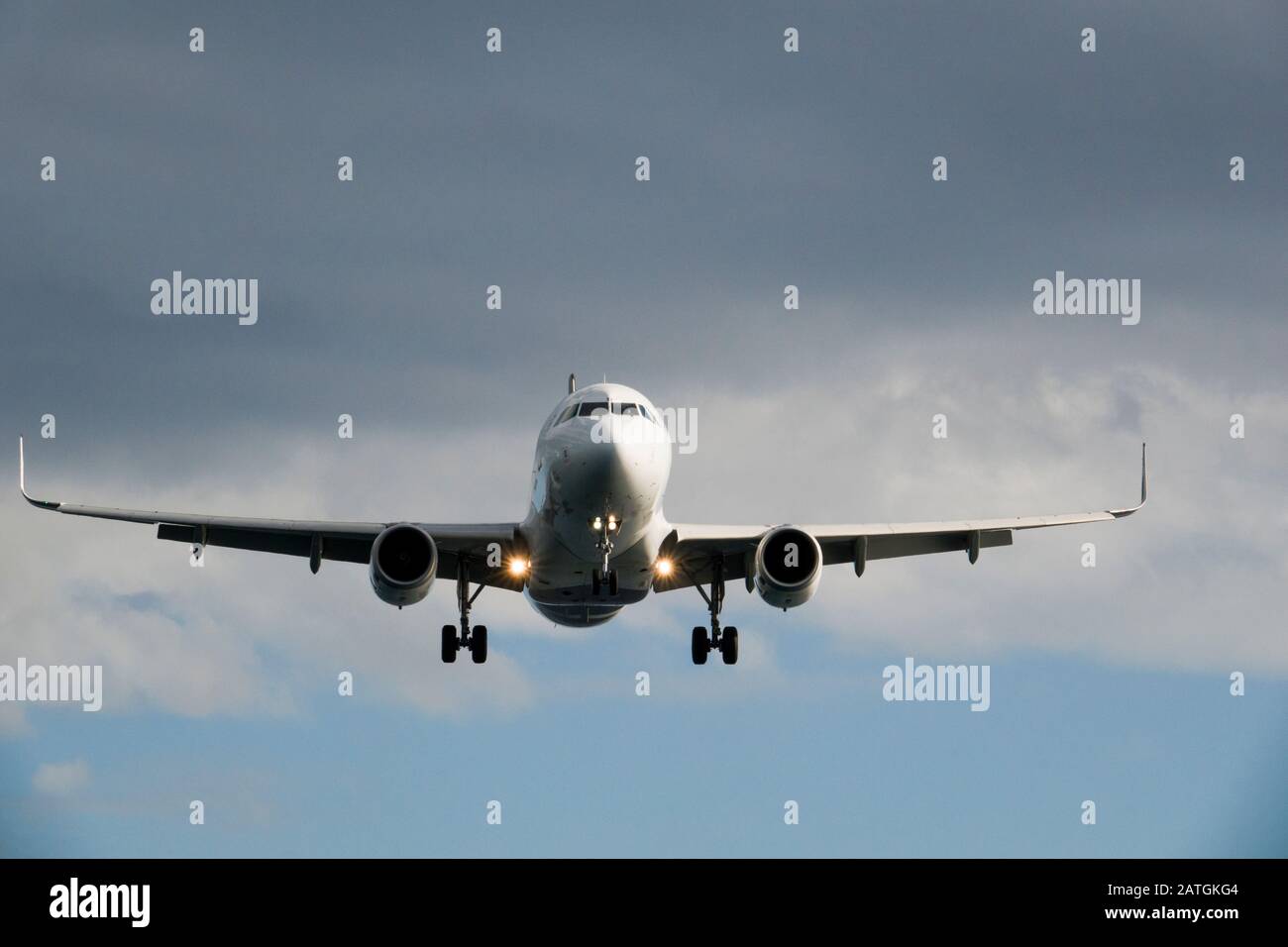 Volo passeggeri aerei della Nuova Zelanda atterrando all'aeroporto di Wellington, Nuova Zelanda Foto Stock