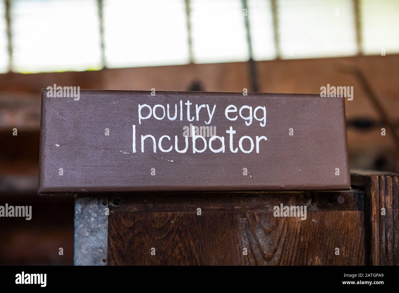 Incubatore a uova di pollame vintage e rustici. Articoli industriali antichi nel museo, Kootenays, British Columbia, Canada. Vista ravvicinata Foto Stock